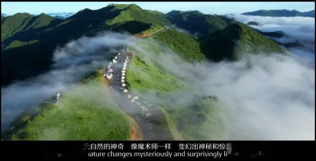 探索知识之旅,尽在“屈原生于公元前77o年,属相是什么?”问答平台